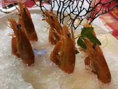 -上海滩餐厅(BFC外滩金融中心店)