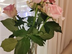 -PARFUM FLORAL花境法餐(南京首店)