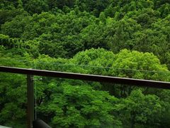 -上海佘山世茂艾美酒店