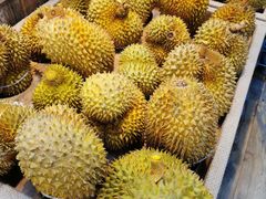 -果蔬好生活超市(双井店)