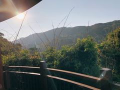 -三亚亚龙湾人间天堂鸟巢度假村