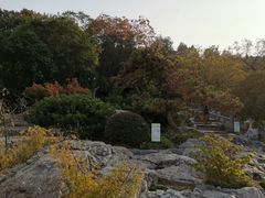 -云龙山