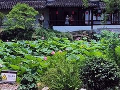 -上海醉白池公园