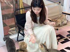 -福田卓悦INTOWN购物中心