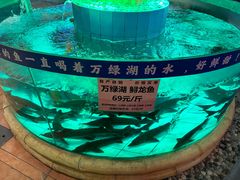 -年辉渔村