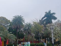 -文华公园(禅城区)