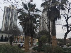 -苏州河梦清园环保主题公园