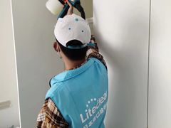 -Liteclear日本进口强效除甲醛检测治理(旗舰店)