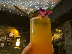 -THE BARMAN HOUSE(调酒师南门店)
