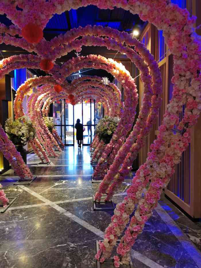 v-show主题ktv(金虹桥国际中心店)