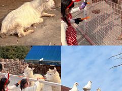 -J Create城市露营咖啡·简餐·宠物(上海动物园店)