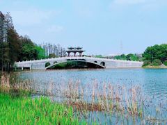-东湖落雁景区