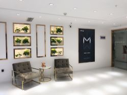 -MIVI野生眉纹绣纹眉