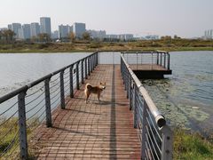 -洋湖国家湿地公园