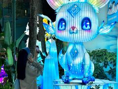 -海合安成都极地海洋公园