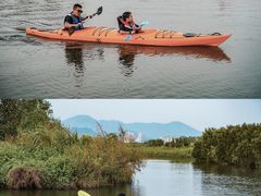 -芒洲湿地公园