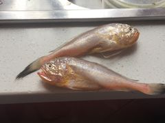 -芦潮港集贸市场