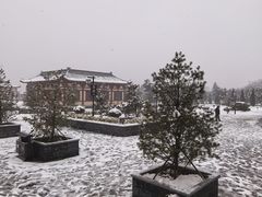 -洛阳古墓博物馆