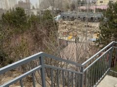 -青藏高原野生动物园