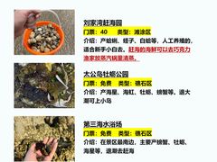 -巧克力渔家.小船海鲜胶东菜(万平口店)