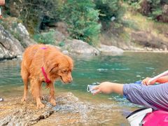 -安吉龙王山峡谷漂流