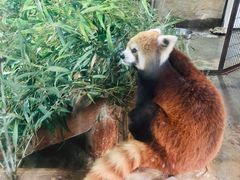 -东部华侨城