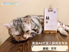 -猫友咖啡店(玉林西路店)