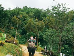 -王权免税店(普吉市区店)