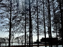 -苏州太湖湖滨国家湿地公园