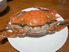 -海铺·渔家虾水饺(皇姑店)