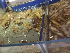 -澜悦港海鲜体验主题餐厅