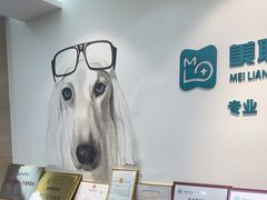 -美联众合动物医院·24h转诊中心