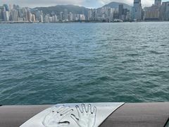 -星光大道