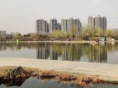 -太阳宫公园