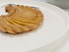 冷切素鲍-圆苑(金茂店)