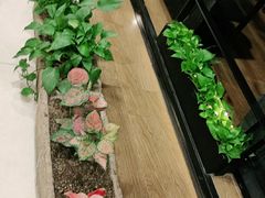 -九鼎轩火锅大排挡