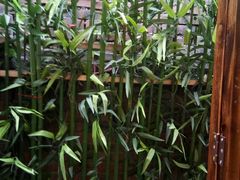 -灶东家民间菜(回兴店)