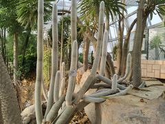 -北京植物园-展览温室