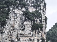 -明仕田园