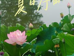 -成都市文化公园