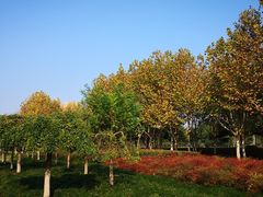 景点-白塘生态植物园