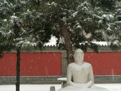 -护国法轮寺