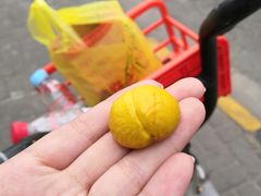 -好好栗子店(海宁总店)