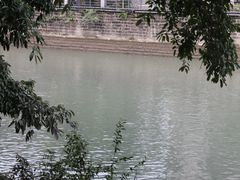 -成都市活水公园