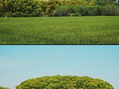 -嘉北郊野公园