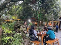 -青城甲(青城山店)