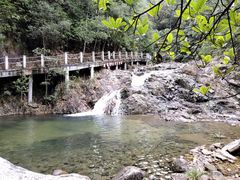 -九龙江国家森林公园