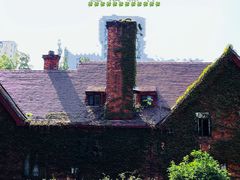 -一尺花园(安和花园店)