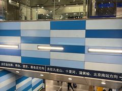 -大望路(地铁站)