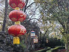-白家大院·王府宫廷菜(苏州街店)